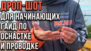 Дроп-шот для начинающих - гайд по оснастке и проводке.