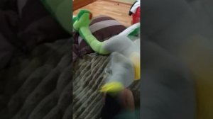 капибара попал в радужные друзья 2, 3 часть