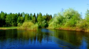 Как придать фотографии объём и художественный эффект.