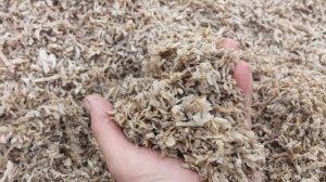 привёз жом, отобрали на анализ подсолнух