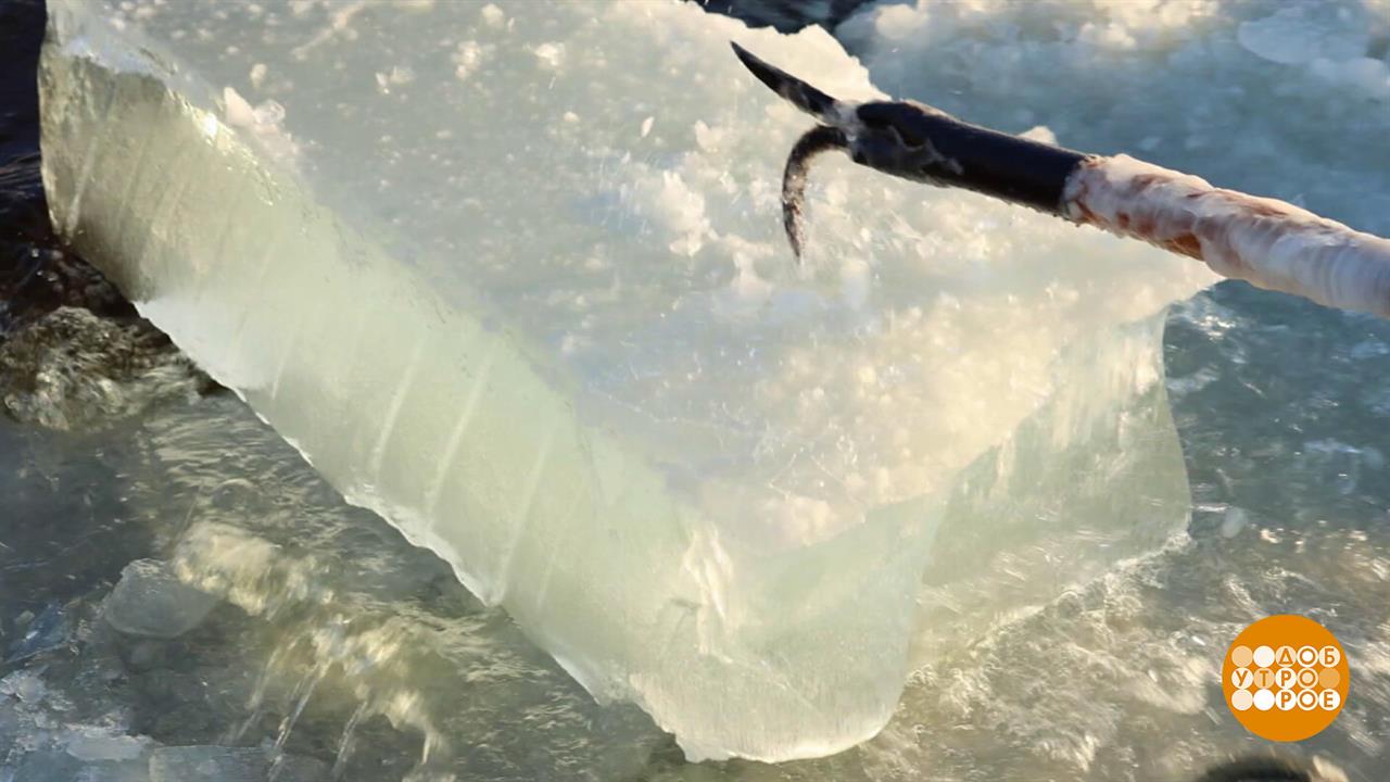 Мы растопим этот лед! Но вначале - заготовим... Доброе утро. Фрагмент выпуска от 19.11.2025
