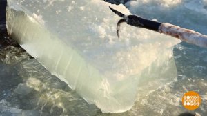 Мы растопим этот лед! Но вначале - заготовим... Доброе утро. Фрагмент выпуска от 19.11.2025