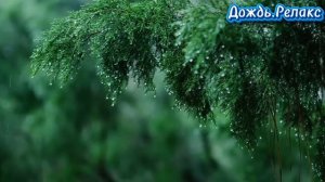 Дождь.Релакс.