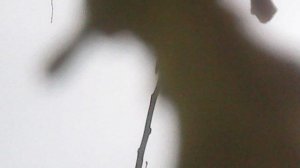 Во исполнение заповеди Христовой о почитании родителей: помогаю маме в саду