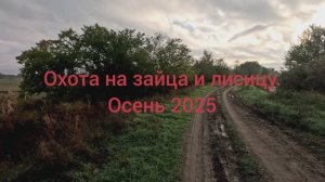 Охота на зайца и лисицу. Осень 2025