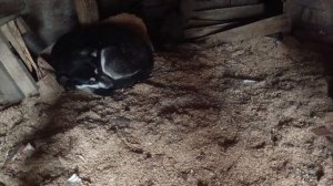 Херсонщина 19 ноября 2025 года