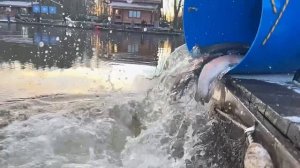 Запуск форели