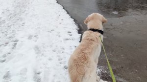 Первый лёд 19.11.2025