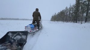 #ПРОМЫСЛОВИКИ ВЫПУСК 17 //ПРОВЕРКА КАПКАНОВ//