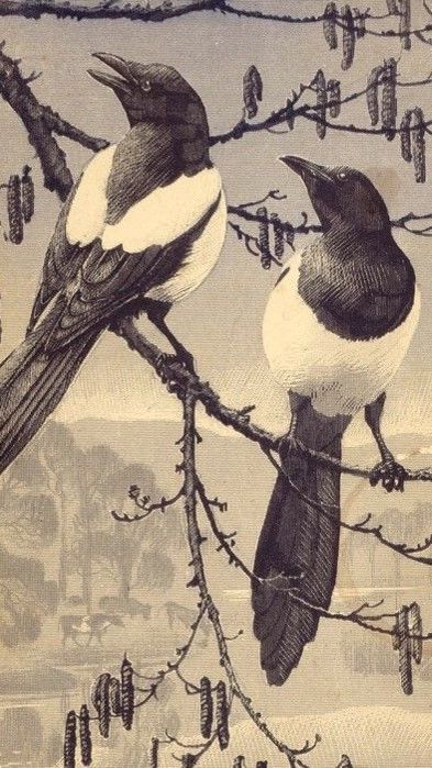 Серединный путь (Cover)