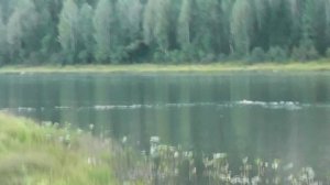 порыбачить на даче