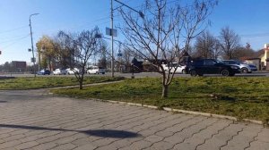 Размышления на свежем воздухе. О разном. 19.11.25