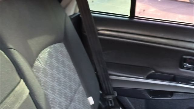 petal_20251119_133143.mp4