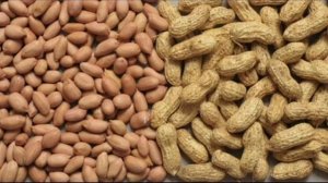 Польза арахиса.