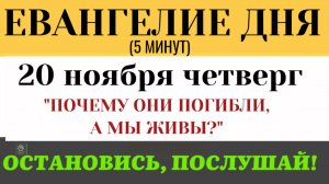 Евангелие дня Почему Бог допускает внезапную смерть  (Лк 13 1-9)(5 минут)