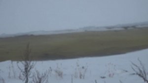 Осторожно, тонкий лёд: МЧС, власти и рыбаки о риске ранней зимы