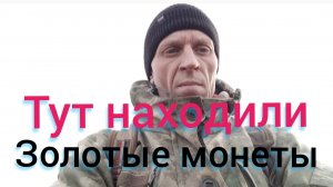 ярославская обл,коп на кукурузных полях