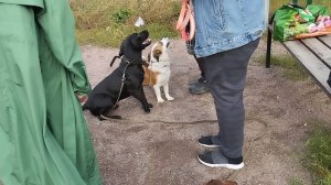 Моя Жизнь Кино @ Музей Псов