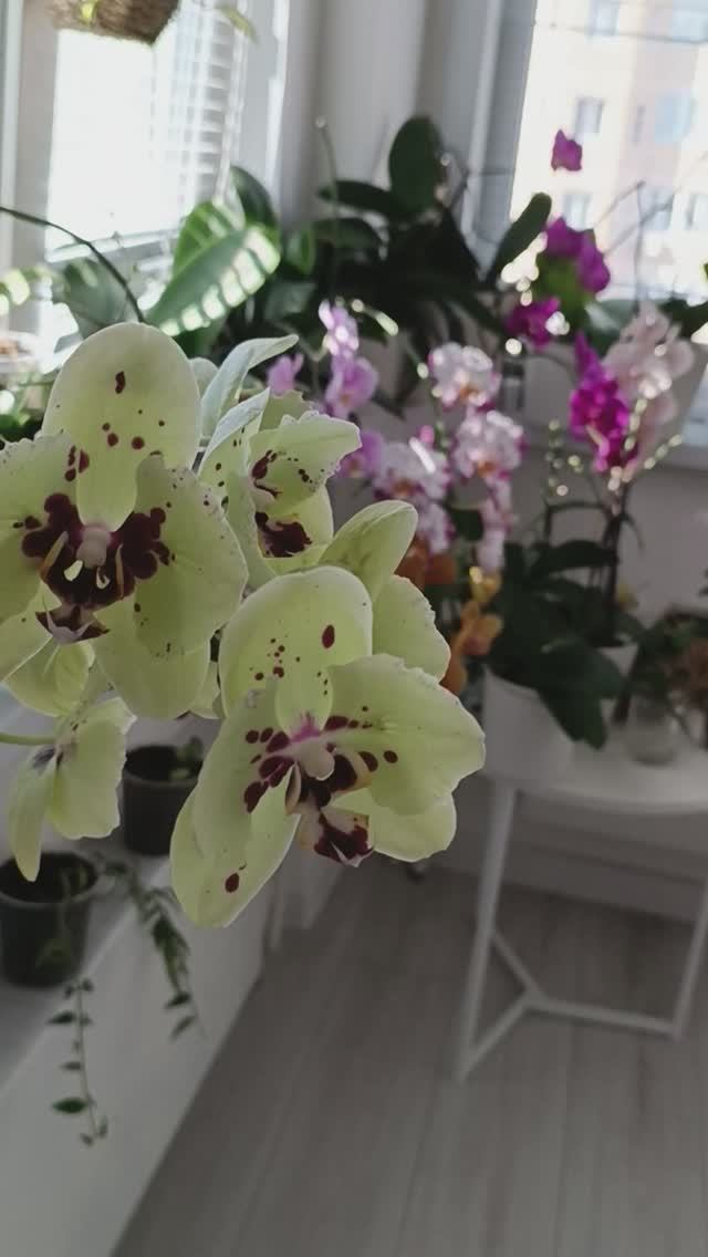 Однажды, ты поймешь☝ Моё счастье☺✨