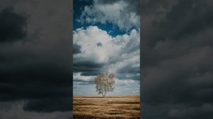 Под моим окном зацвела берёза