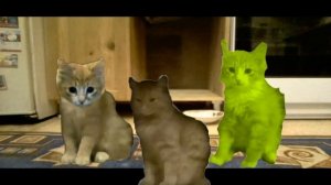 Барсик и его друзья 3 серия 1 сезон Рутуб