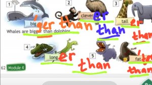 spotlight 4, стр 62, модуль 4, английский 4 класс. ЗАПИСЫВАЙТЕСЬ НА ОНЛАЙН УРОКИ +79676250268☎️✍️✔️?