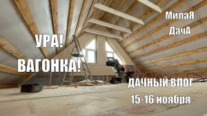 Вести с полей | Дачный влог 15 ноября