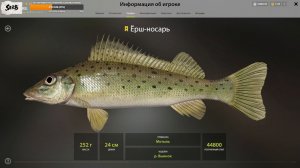 ПОЙМАЛ ТРОФЕЙНОГО ЕРША=НОСАРЯ.КВЕСТ ЗАВЕРШЕН.