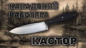 РВС Кастор 2.0 - Канадский Работяга: Обзор, ТТХ и Впечатления. Разговоры о ножах