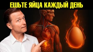 Что будет, если есть яйца каждый день?