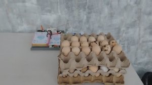 Хитрости инкубации / Готовлю виноградно-яблочный компот.