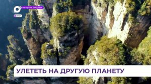 Приморцам предложили путешествие на планету Пандора