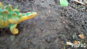 World of animals: qagmire (мини-сериал)