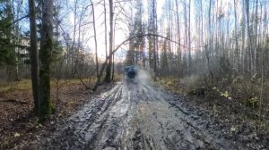 02.11.2025 Лайт по шатурскому лесу. ОколоШушмор