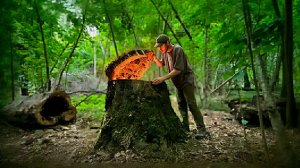 Строю убежище под землей и большим пнем. Скрытая хижина в лесу. Выживание и бушкрафт