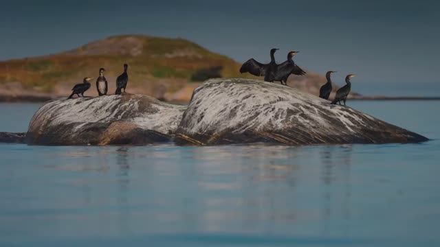 Самые потрясные кадры Земли в HDR Dolby Vision 4K (60 кадров в секунду)