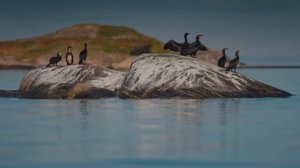 Самые потрясные кадры Земли в HDR Dolby Vision 4K (60 кадров в секунду)