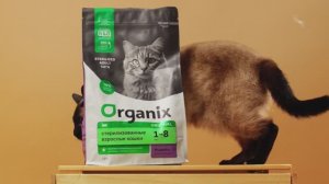 Organix – обзор бренда питания и товаров по уходу для животных 🐾