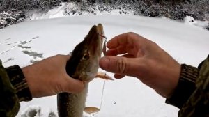 Открытие, балансир 2025