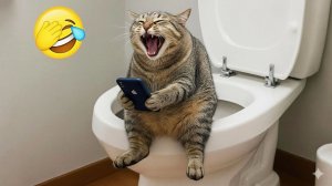 Самые смешные новые клипы о собаках и кошках 2025 года 😽 🐶 П😅