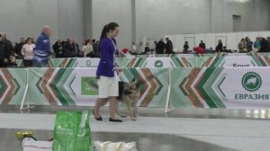 Стивит Армаст Угроза