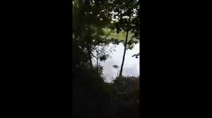 Проще лечиться коньячком