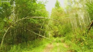 ВелоРЕЛАКС 3. Летово- Стенино- Головино-Покров.