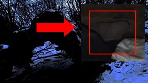 Загадочное существо напугал охотника | Гуманоид страшный