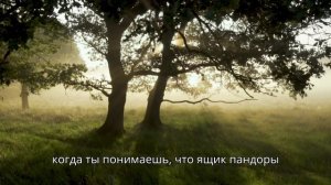 Новолуние 20 ноября 2025