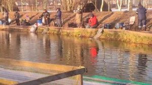 WhatsApp Video 2025-11-19 at 10.03.23