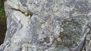 Горные породы Урала в историческом центре Екатеринбурга