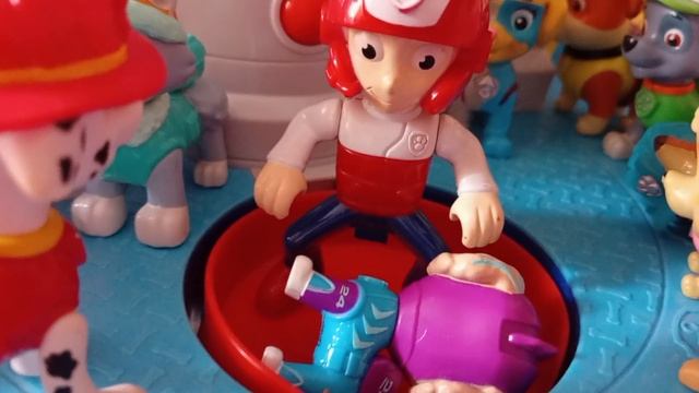 Щенячий патруль 8 серия-"Новый член команды:Корал" смотреть онлайн