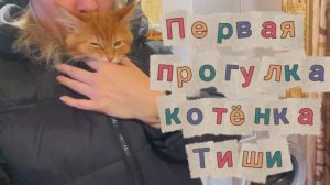 Первая прогулка котёнка Тиши