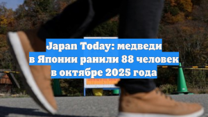 Japan Today: медведи в Японии ранили 88 человек в октябре 2025 года